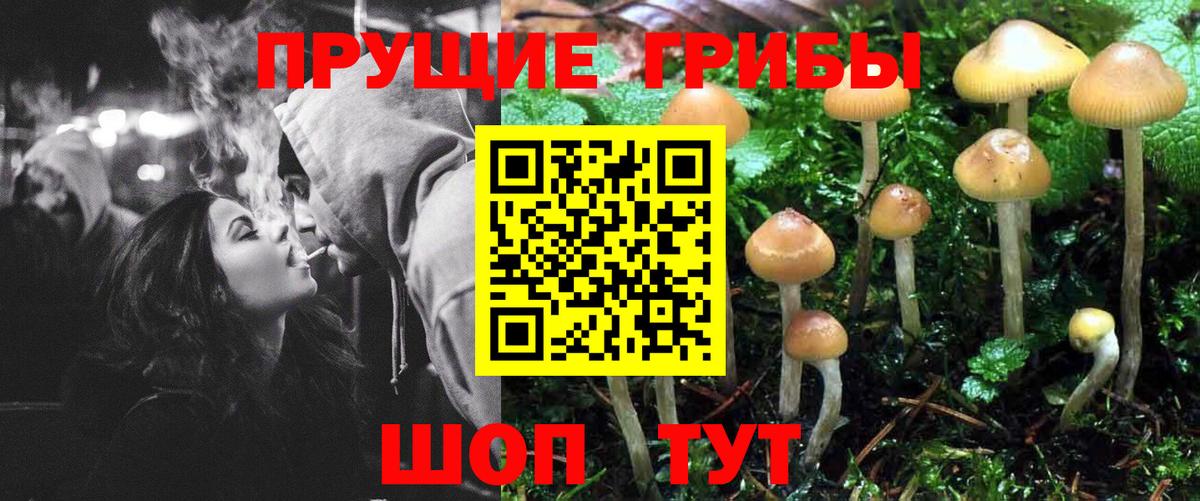 Сергиев Посад  Псилоцибиновые грибы Psilocybe  купить закладку  Вход с VPN 
